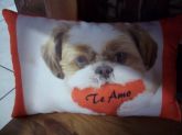 Almofada cachorro Ref. cach. 003