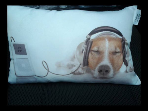 Almofada Cachorro Ref.cach.005
